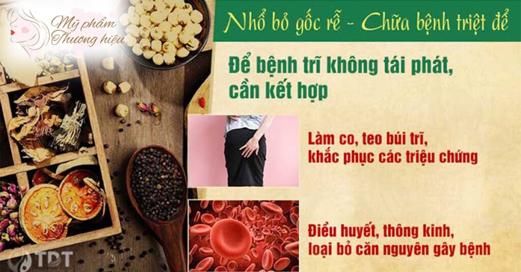 Phương pháp ngâm xông trĩ từ thảo mộc